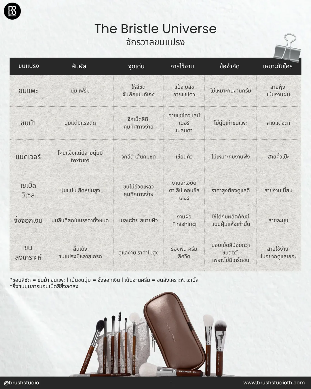 ตารางเปรียบเทียบคุณสมบัติขนแปรงแต่ละชนิด